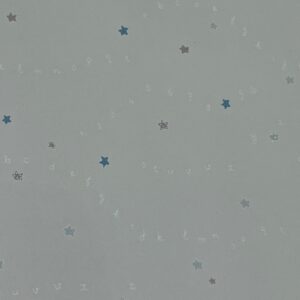 BYG039