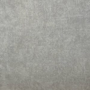 RA005