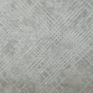RA019